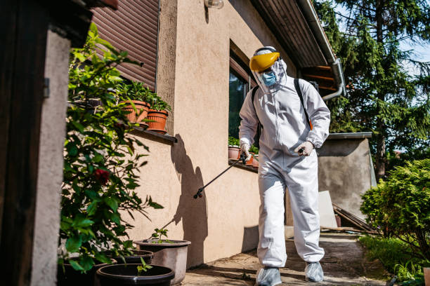 Best Best Pest Control Companies  in Paradise, CA