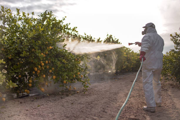 Best Best Pest Control Companies  in Paradise, CA
